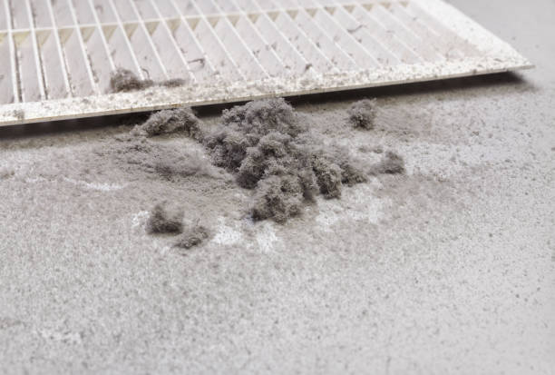 Best Air Vent Cleaning Services  in Jonesville, MI