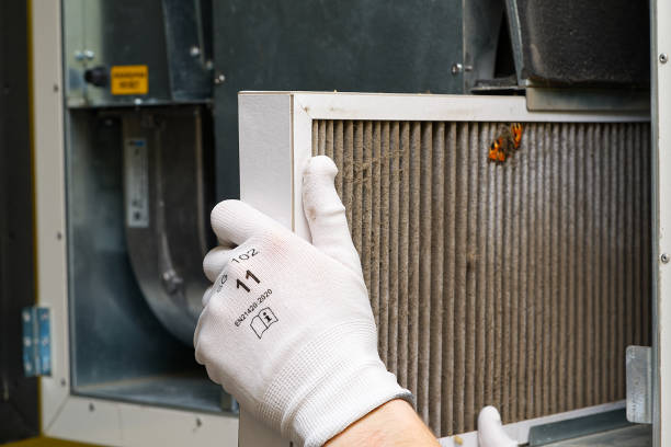 Best Professional Duct Cleaning Services  in Jonesville, MI