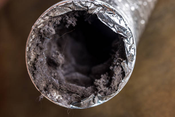 Best HVAC Maintenance and Cleaning  in Jonesville, MI