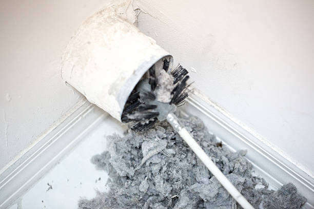 Best Ductwork Cleaning Services  in Jonesville, MI