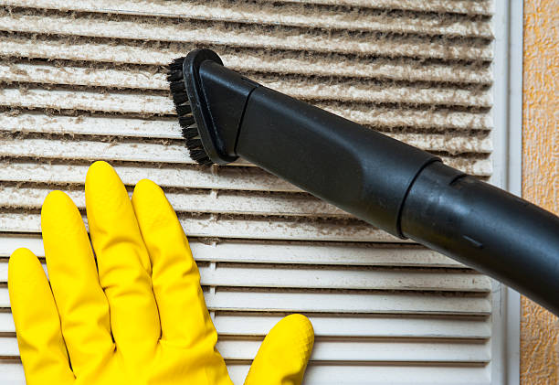 Best Air Vent Cleaning Services  in Jonesville, MI